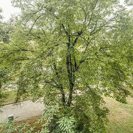 Rentplanet - Kosciuszki * 弗罗茨瓦夫