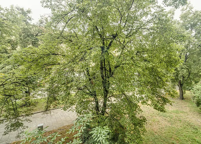 Rentplanet - Kosciuszki * Wrocław